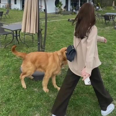 明天的黎明